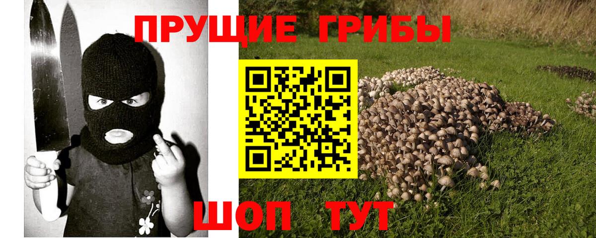 Галлюциногенные грибы Psilocybe  Вход с VPN  Электрогорск 