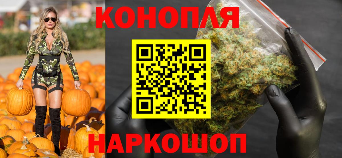 Канабис ГИДРОПОН  Канабис White Widow  Вход с VPN  Электрогорск 